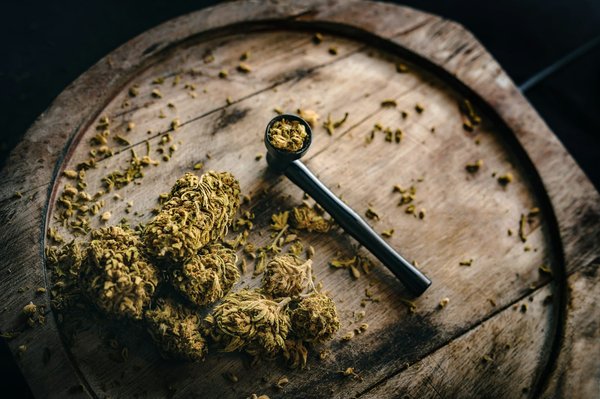 Découvrez les bienfaits de la fleur cbd amnesia