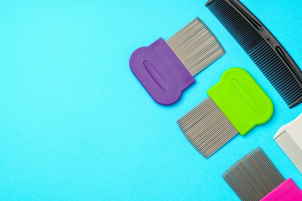 Peigne anti poux en inox : efficacité et confort garanties