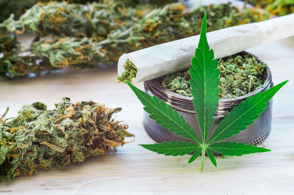 Comment choisir la meilleure boutique de CBD ?